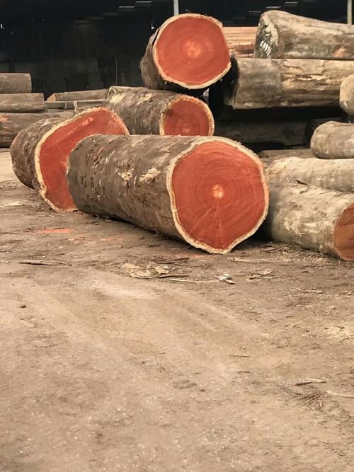 批发零售非洲红花梨原木木材 定尺加工红花梨板材古建家具防腐木